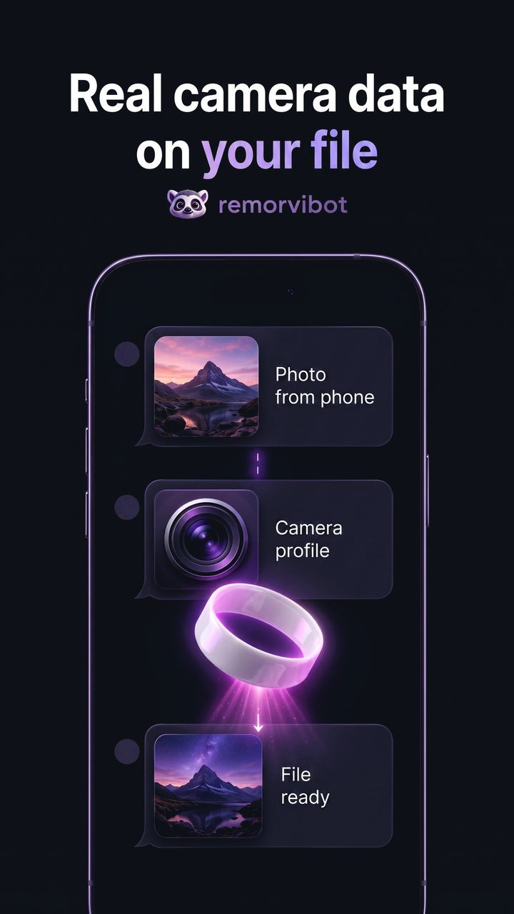 What Instagram and TikTok see in the file's metadata